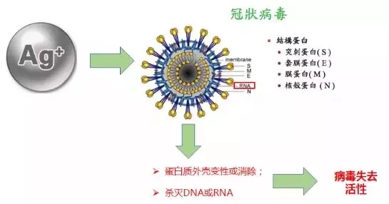 /ueditor/jsp/upload/image/20200320/1584666251068080253.jpg 2.webp.jpg